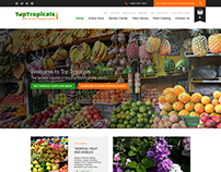 TopTropicals.com Homepage UI Design