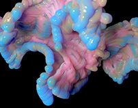 CGI R&D Artwork Part V Coral Blossoming