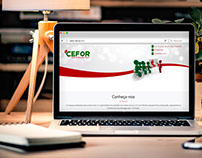 CEFOR - Website em 2015