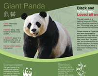 Panda Exhibition Panel