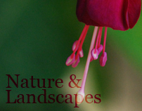 Nature & Landscapes