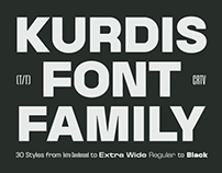 Kurdis Variable Font Family (30 Styles)