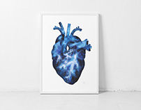 Anatomic Heart
