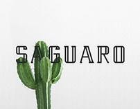 Saguaro Free Font