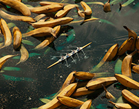 Rowing in Bananas