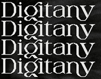 Digitany luxury serif-pixel font