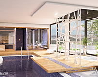 Interior visualization - day and night swimming pool