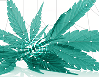 Rubicon CBD - Cannabis Blockchain - Brochure