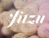 Jitzu Family | Font