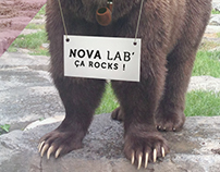 Nova' Bear