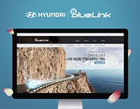BlueLink Website