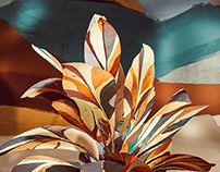 Painted Plants Series