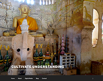 Website - Cultivate Understanding