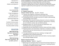 Support Associate Resume Example