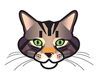 Cat illustration