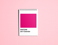 2017 Pantone Inspired Calendar