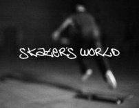skater's world