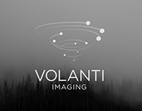 Volanti Imaging - Generative Logo Development