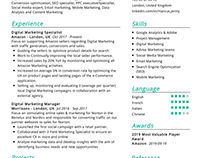 Digital Marketing Resume Example