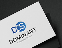 DCS - Brand Identity