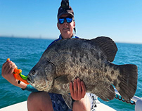 How To Catch Tripletail