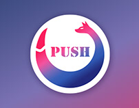 PUSH: Logo and branding