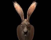 hare trophy