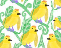 Yellow bird pattern