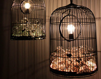 Caged ideas