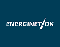 EnergiNet Infographic