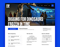 The Field Museum - Website Redesign