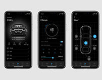 Smart Car Design App "Mex"