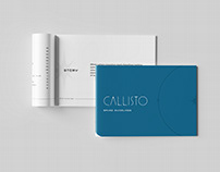 Brand Guidelines | Callisto Bar & Kitchen
