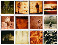 Polaroid 600 instant film