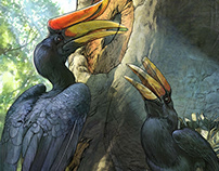 The Minnesota Zoo | Nesting Hornbills