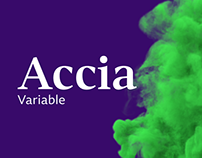 Accia variable type system