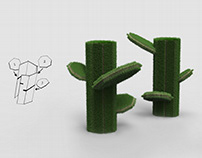 Fluffy cactus