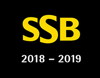 Stuttgarter Straßenbahnen AG 2018 – 2019