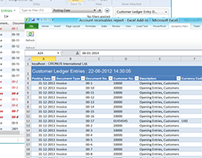 Microsoft Excel / Dynamics NAV 2013 reporting feature