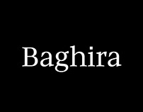 Baghira Type Family