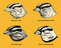Six Sparrows