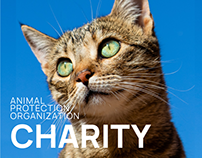 Redesign website of the Animal Protection Fund