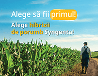 Cromatix post Syngenta Moldova web banners