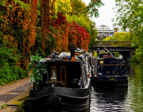 Regent's Canal in Autumn