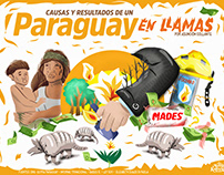 Paraguay en Llamas Investigación de Prensa/Ilustración