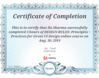 Certification: UI Design principles and practices cours
