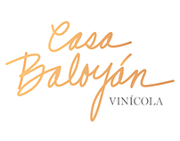Casa Baloyán | Design & Marketing