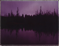 Purple Woods