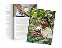 Report Design: BASELINE STUDY AMAZON ORIGIN COCOA LATAM