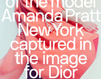 Amanda Pratt — New York, Visual Identity (2013)